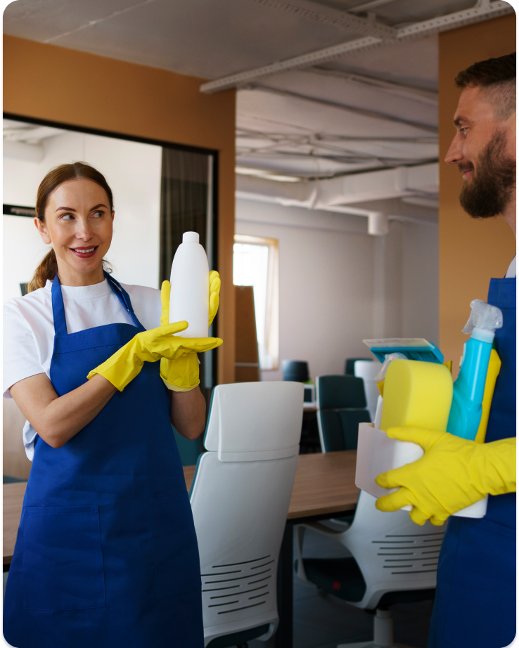 Detailed professional cleaning standards